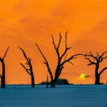 Finding Inspiration in Simple Spaces and Quiet Moments